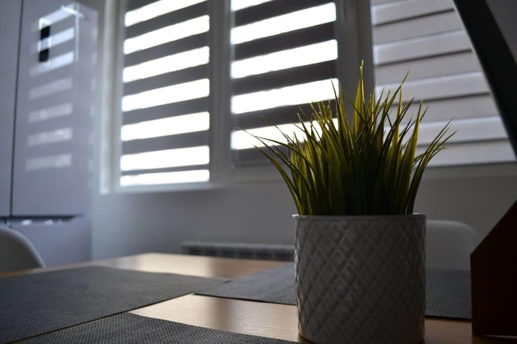 Modern City Center 2 Bedroom Apartment ソフィア エクステリア 写真