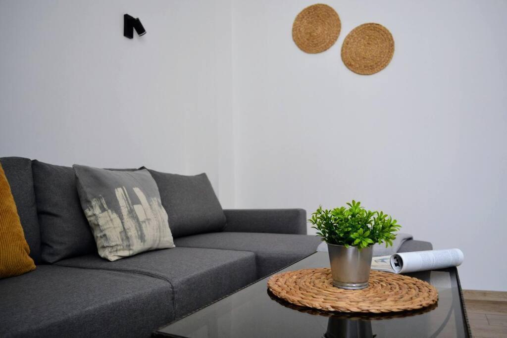 Modern City Center 2 Bedroom Apartment ソフィア エクステリア 写真